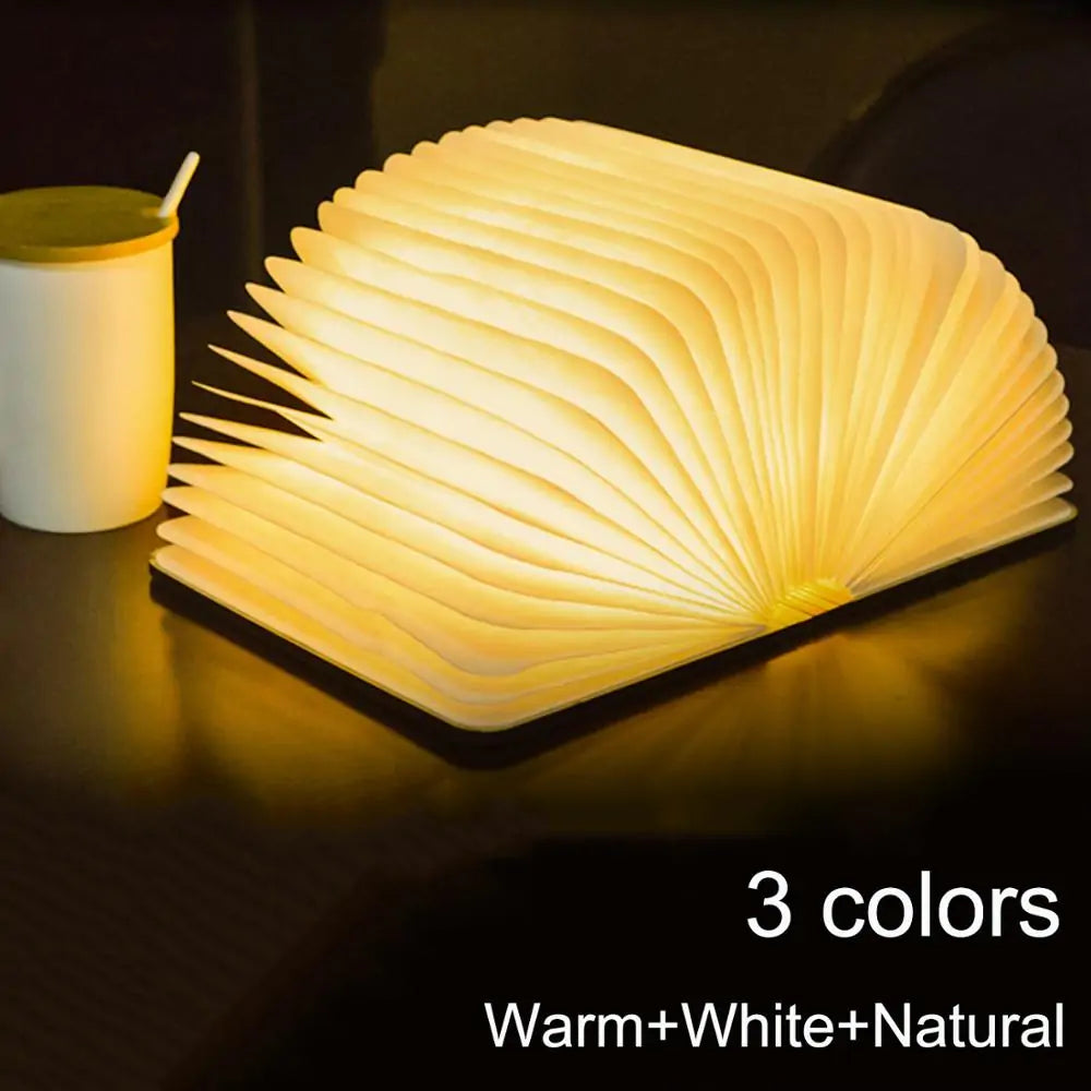 Wooden Book Lamp (Maple and Walnut)