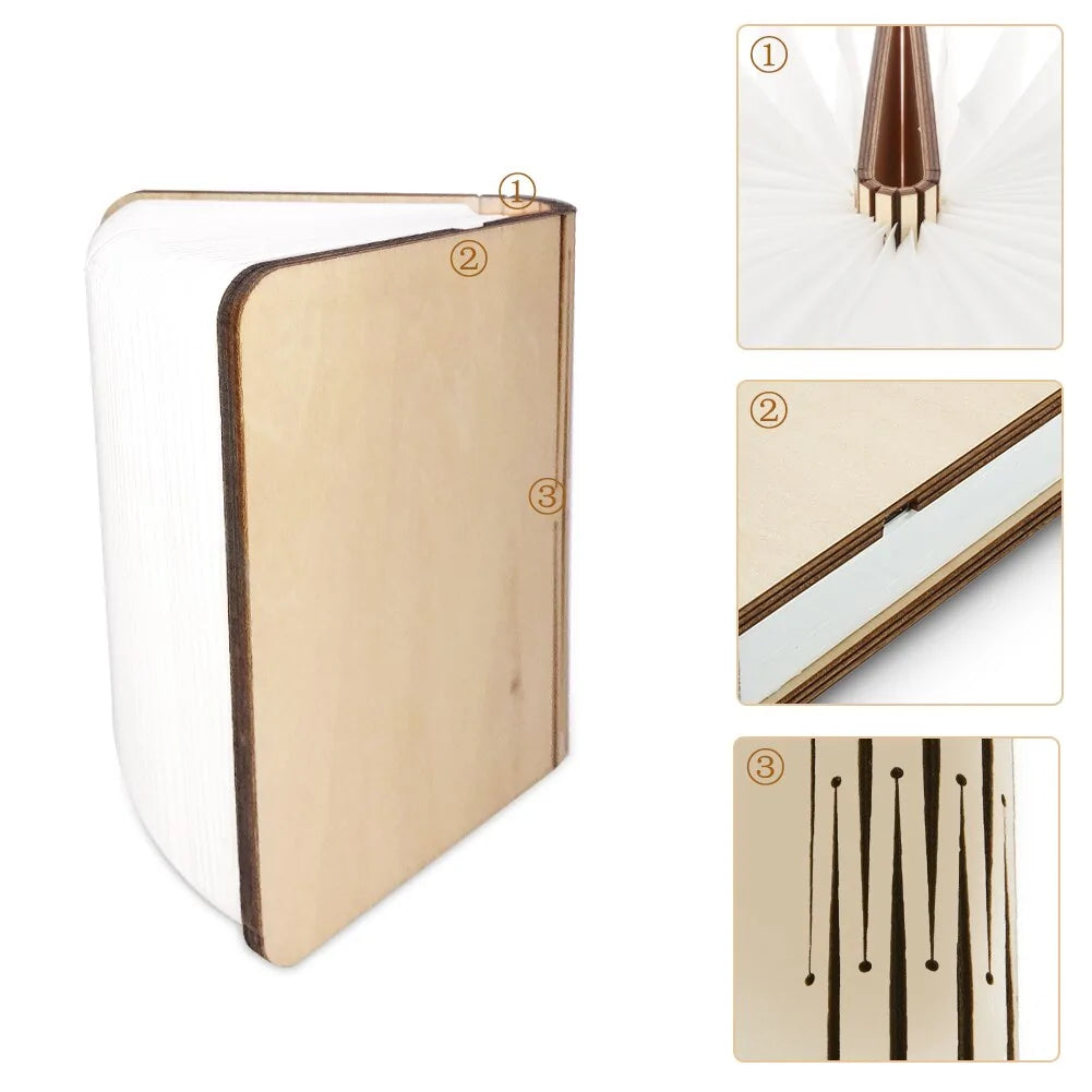 Wooden Book Lamp and Accordion