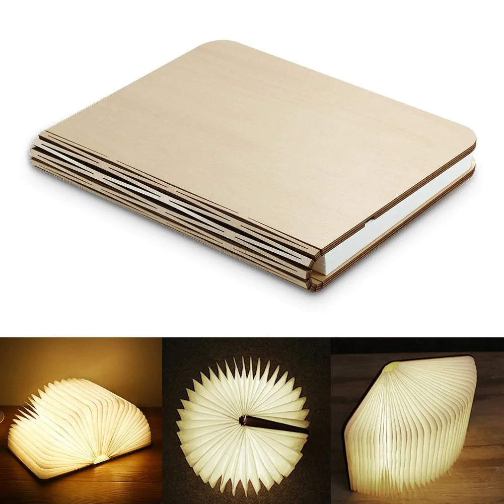 Wooden Book Lamp and Accordion