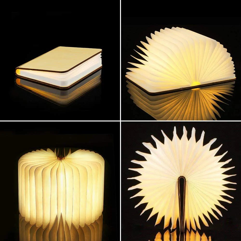 Wooden Book Lamp (Maple and Walnut)