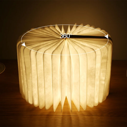 Wooden Book Lamp and Accordion