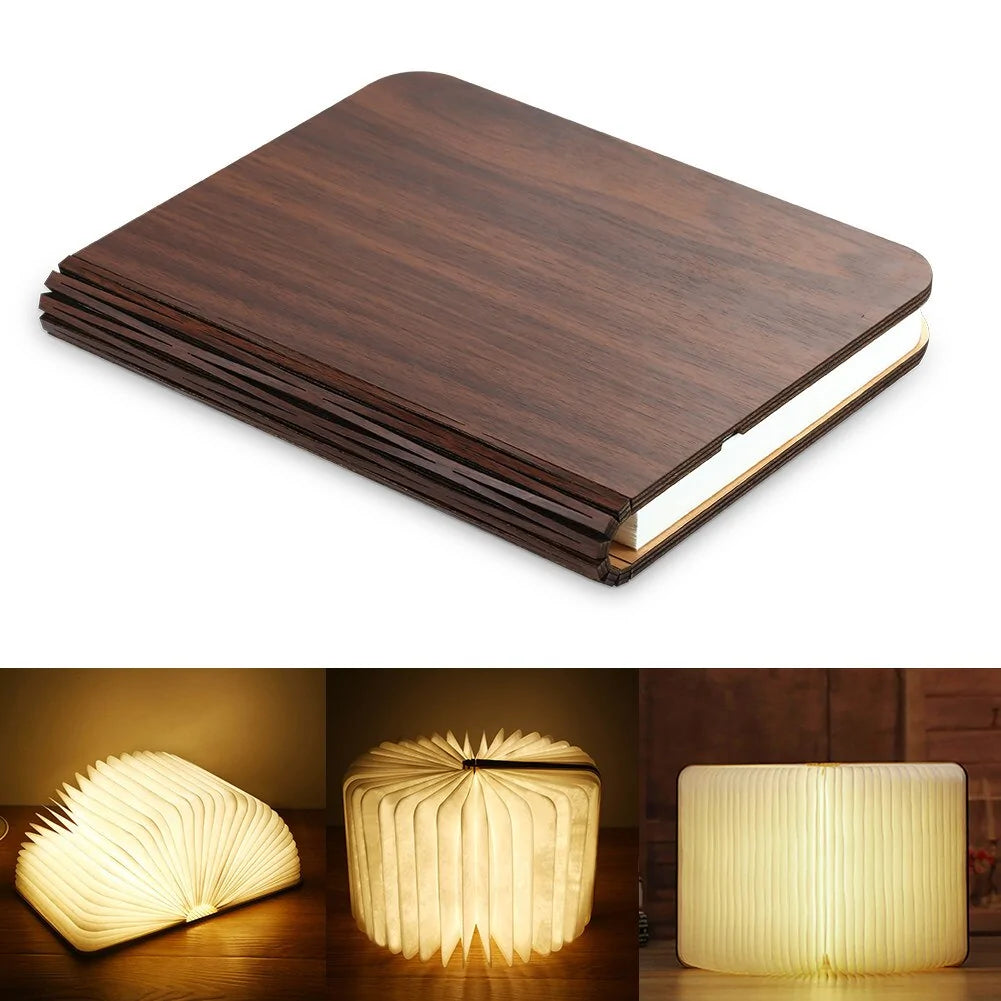 Wooden Book Lamp and Accordion