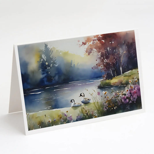 Bufflehead Greeting Cards